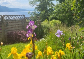 1807, Vaud, ,Maison,A vendre,1095