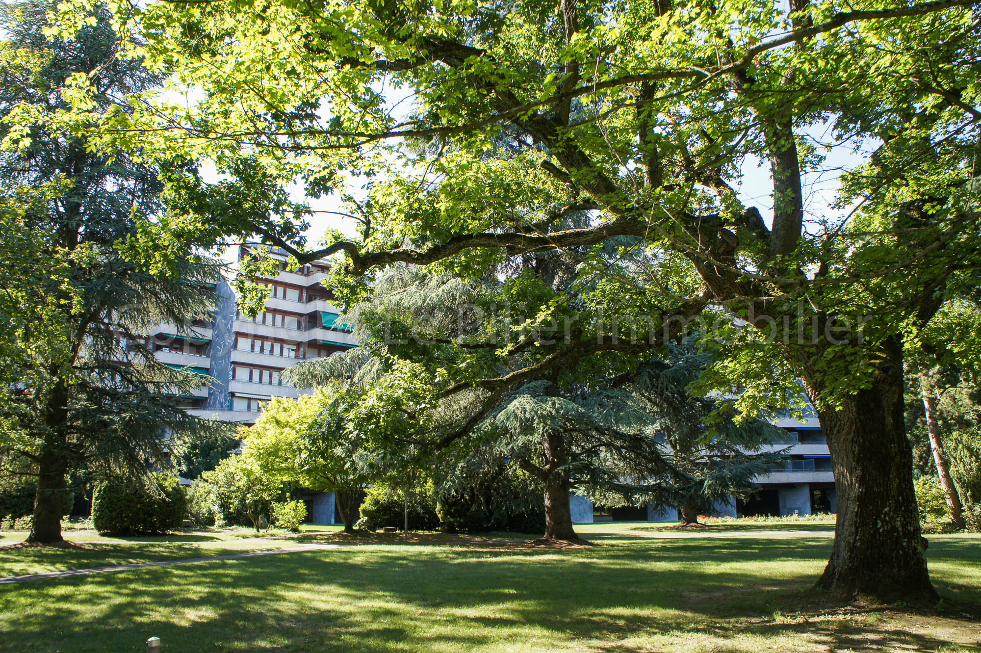 Genève, 3 Chambres Chambres, ,3 Salle de bainSalle de bain,Appartement,A vendre,1105