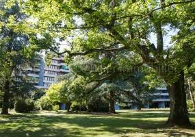 Genève, 3 Chambres Chambres, ,3 Salle de bainSalle de bain,Appartement,A vendre,1105 Genève, 3 Chambres Chambres, ,3 Salle de bainSalle de bain,Appartement,A vendre,1105